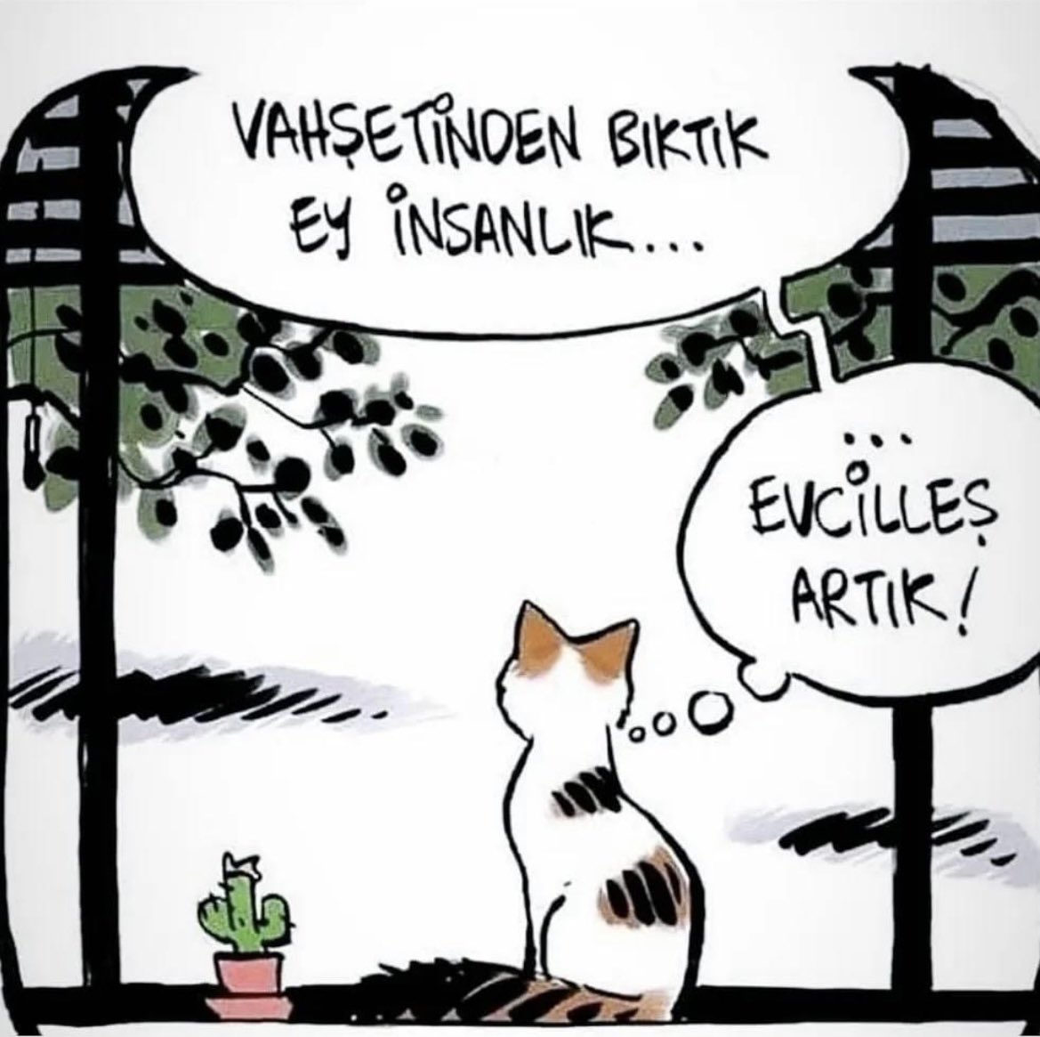 #Konyadakatliamvar #ALLAHBELANIZIVERSIN