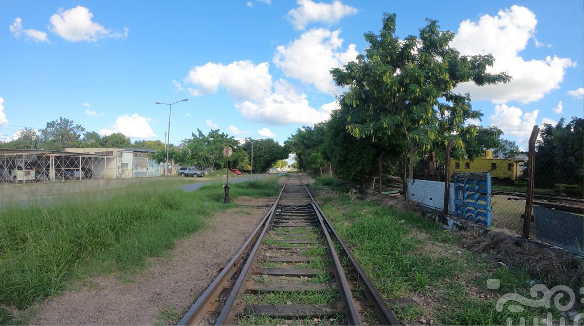 TrenMayaMX's tweet photo. #ConoceElTren 🚉 ¿Sabías que… el Tren Maya se construye principalmente sobre derechos de vía ya existentes? Así es, por eso será mínimo un eventual impacto de la obra al medio ambiente. #SúbeteAlTren 🚆🛤️ https://t.co/cqGkTkM2in
