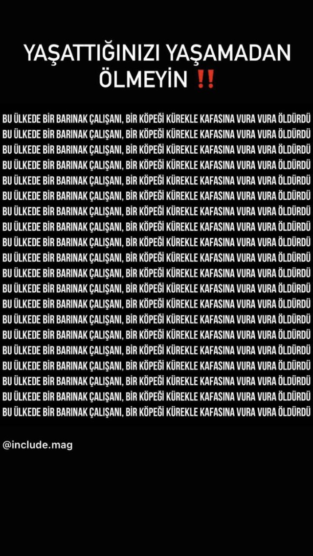 🦅 (@ytaksimy) on Twitter photo 