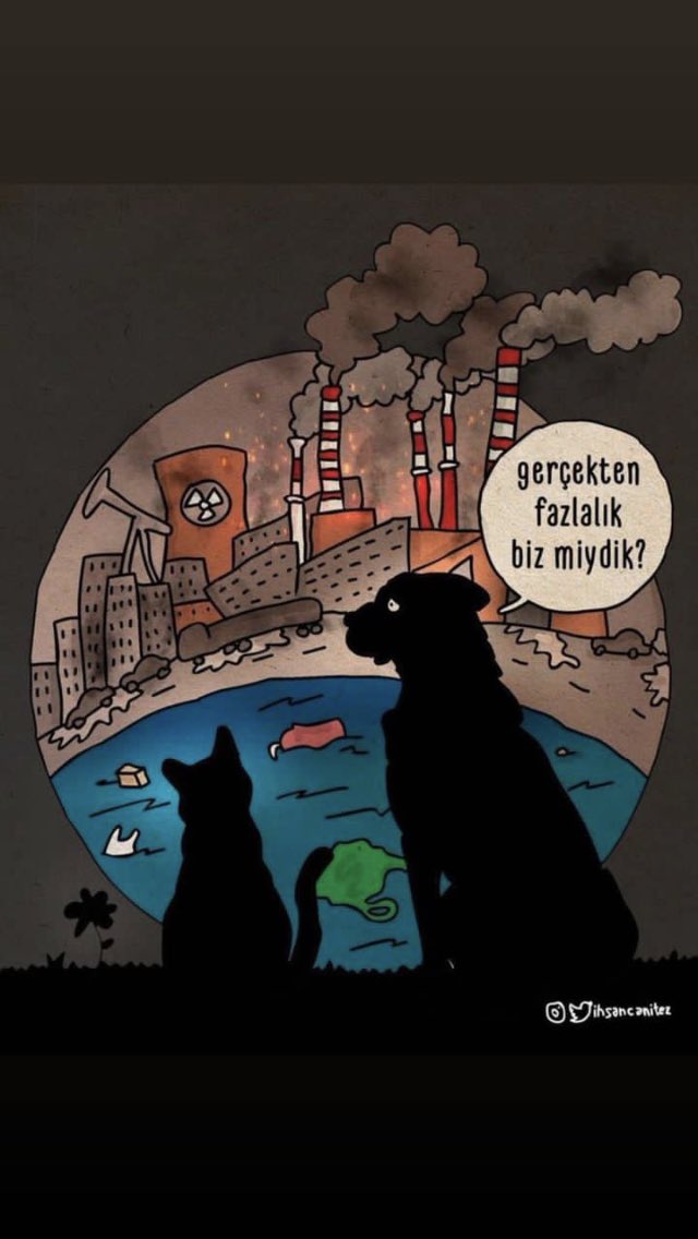 🦅 (@ytaksimy) on Twitter photo 