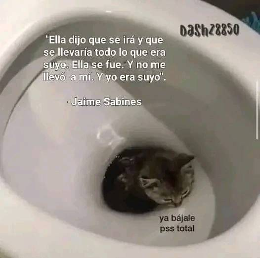 INF Chiquito ☁️ on Twitter: "#SabadoSad https://t.co/kNh09gMjJr" / Twitter