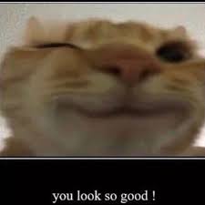 Zikatoari tweet media