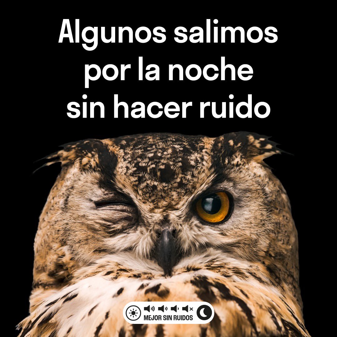 Ayto. de Valladolid tweet media