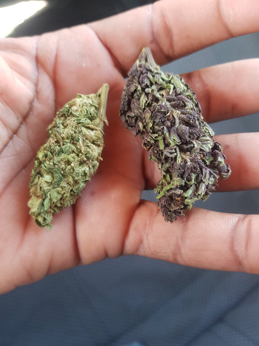 KGDiesel's tweet photo. @BraMarvs @Lunga_21 Yes I trade and this is my trade market.😅 https://t.co/6b2G85erhg
