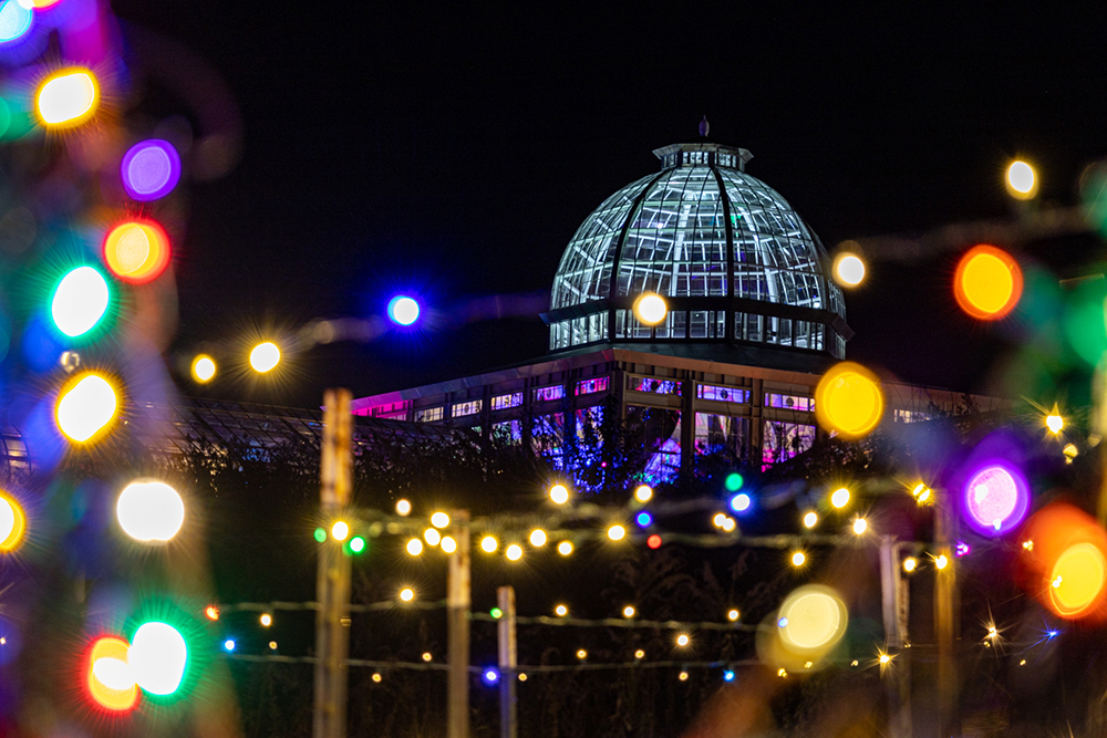 RVAmag's tweet photo. Garden Fest 2022 'Seeds Of Light' at Lewis Ginter Botanical Gardens! 🌿🌿🌿 https://t.co/NXNMe1ngh9
•
#lewisginter #gardenfest #seedsoflight #rva #rvamag #richmondva #visitrichmond #visitvirginia #thingstodoinrva #thervalife #visitva #virginialiving #richmondliving #richmond https://t.co/3MRuKzu7Ua