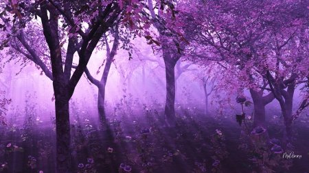 ʜᴀʟꜰ ᴏꜰ ᴛʜɪꜱ, ʜᴀʟꜰ ᴏꜰ ᴛʜᴀᴛ...

 ʜᴀʟꜰ ᴏꜰ ɢᴏᴏᴅ ᴀɴᴅ ʜᴀʟꜰ ᴏꜰ ʙᴀᴅ...