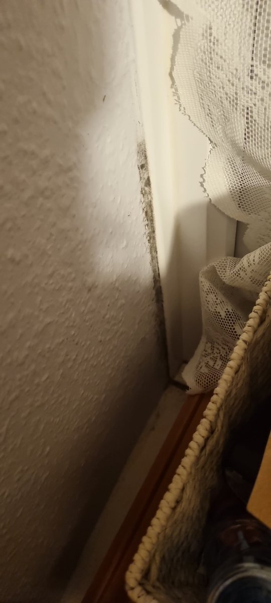 ThatGuurl's tweet photo. @RBKingston why do you think it's ok for my family to live in a property since August with a broken gutter that is causing a huge leak through my ceiling, window and because it's been left so long, the wall. I have a 2 year old grandson living here and you've nothing to help. https://t.co/S1Sfk7B5Fn