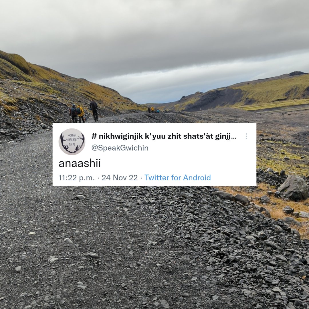 # nikhwiginjik k'yuu zhit shats'àt ginįįkhii (@speakgwichin) on Twitter photo 