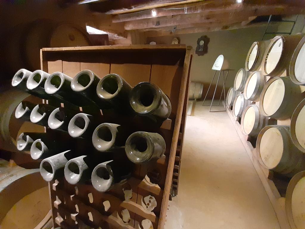 SERNATUR Coquimbo tweet media