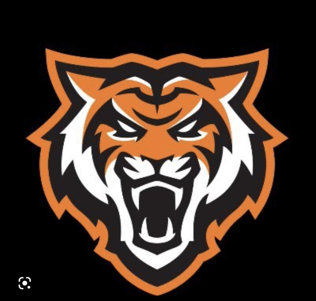 Roee Lachmish tweet media