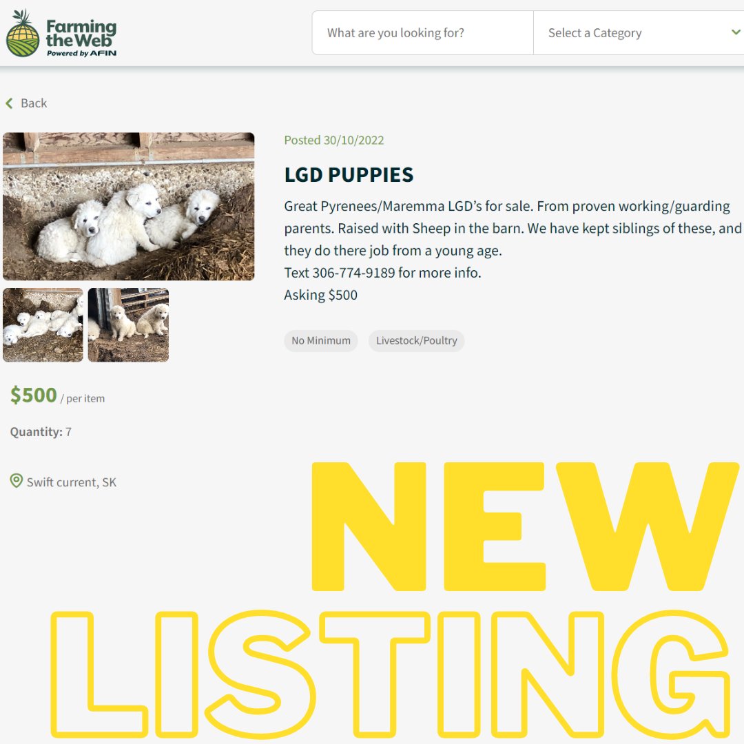 Farming The Web tweet media