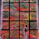 ツイートに含まれる画像