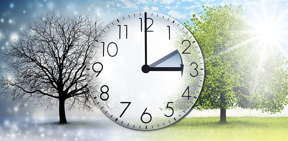 Orxideasy's tweet photo. While we are postponing, life speeds by. https://t.co/uMsZuJX5bA