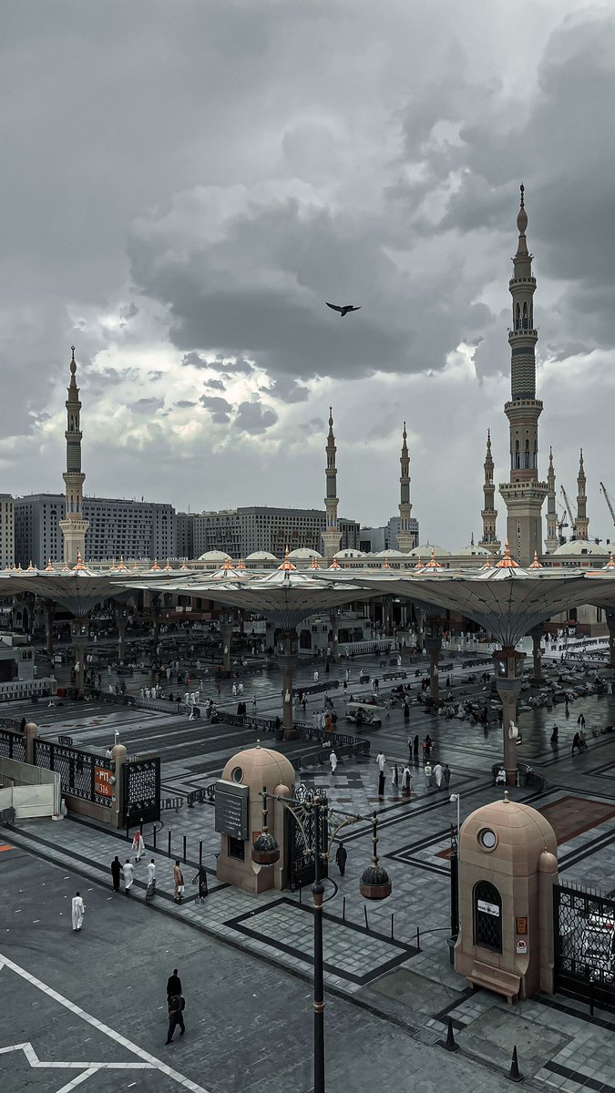 7trk_'s tweet image. "اللهم فرحةً ردّة فعلها سجدة "
#المدينة_المنورة