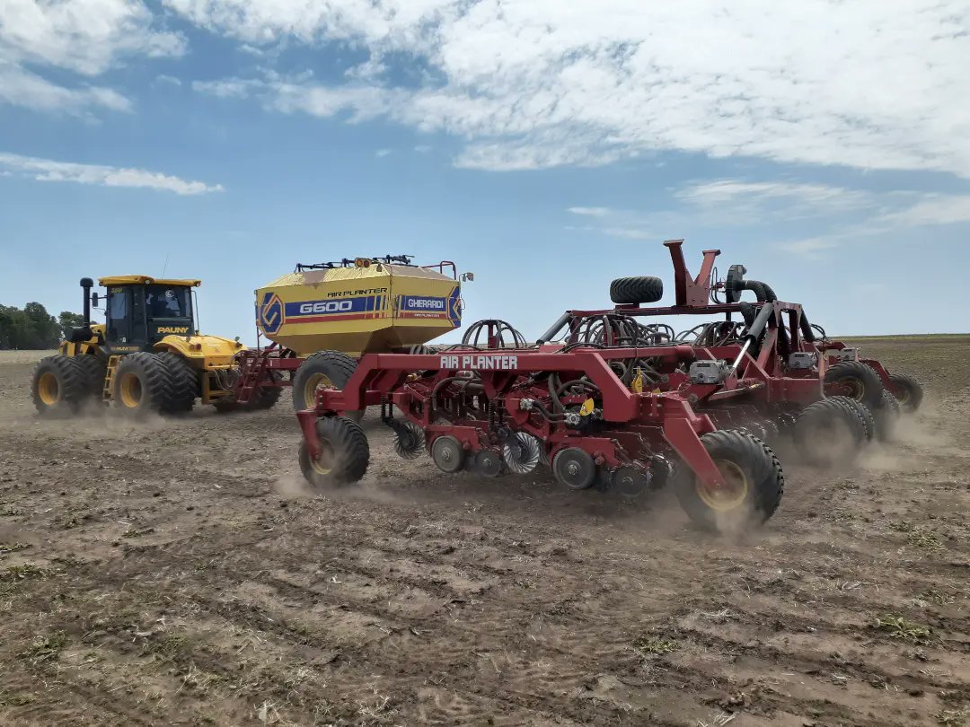 FedericoMoreyr2's tweet photo. 📣Sembrando ensayos de @creasudoeste GEASO Ganadero y Agrícola en conjunto con el capo de @anicolas88
✅ Híbridos, densidades, fertilización, Curasemillas, aptitud como diferidos y más! En📍La Cautiva (Carhué)
#CREA #GEASO #DIferidos #maiz #fertilización #densidad #híbridos https://t.co/wls8Ldf8R4