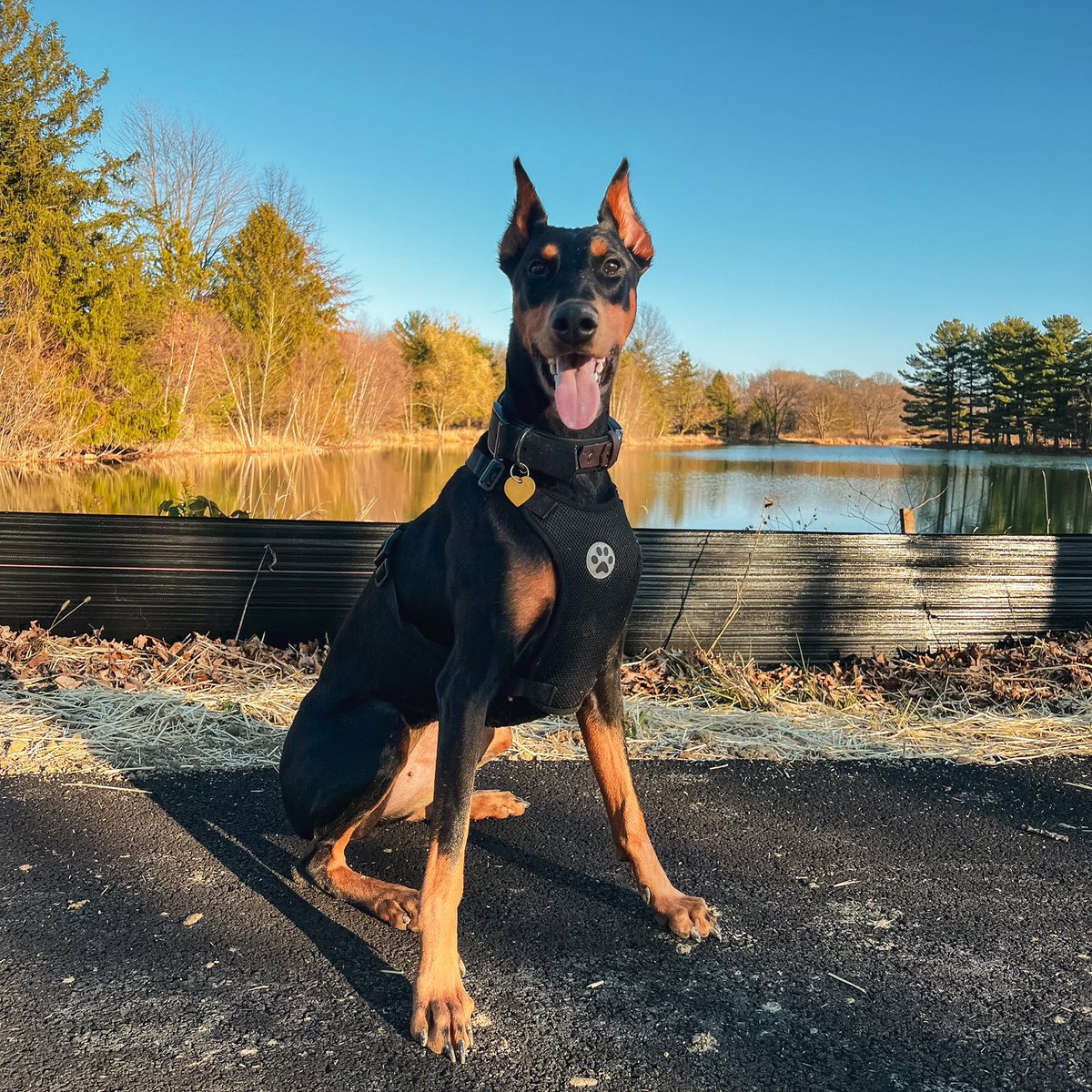 Jeremiah Welch tweet media