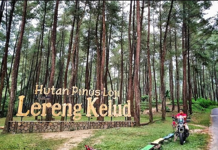 Nurul_Makfiah's tweet photo. #BlitarnBumiPenataran
#TppJatim
#PendampingDesa
#Sempu
@jokowi
@halimiskandarnu
@arifwijaksan4
@hariskunaifi
@Nurul_Makfiah
@Doumbojo3510
@budiarno85
@dm_sajo https://t.co/GvjGlqpa4f