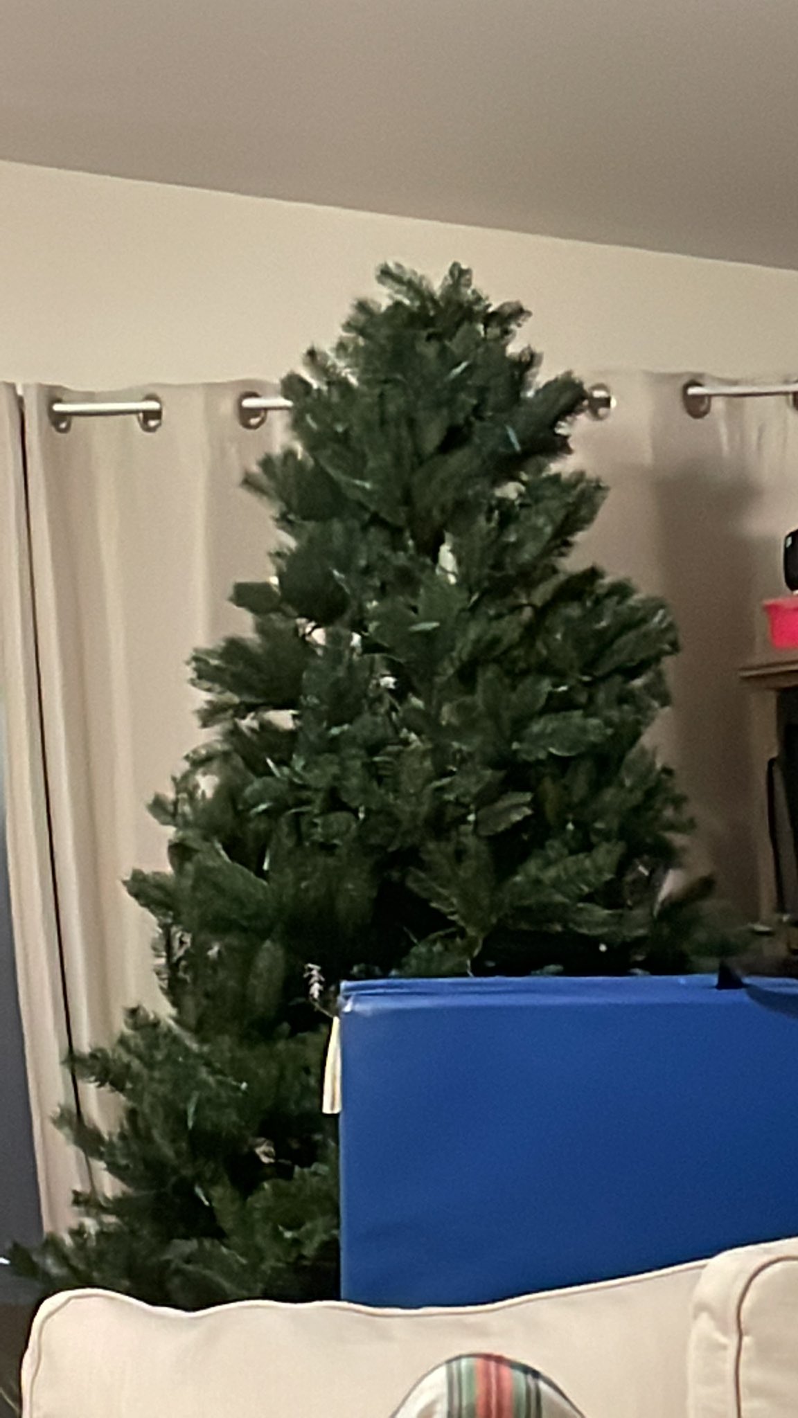 Shutter on Twitter "My tree won’t light ( https//t.co/J7YCD8o0GH