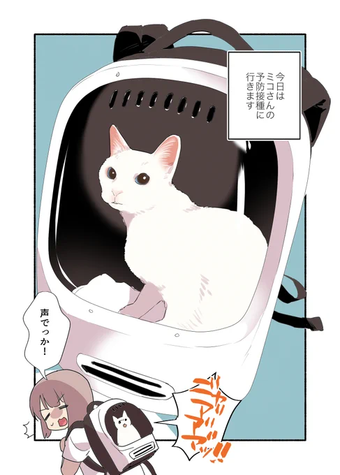 白い猫と暮らしている漫画⑦です(どこからでも読めます)#ペット漫画 #猫エッセイ 