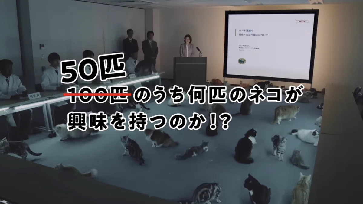 ヤマト公式動画がツボ！ヤマトの取り組みに興味を持つ猫は100匹中…。