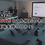 ヤマト公式動画がツボ!ヤマトの取り組みに興味を持つ猫は100匹中…。