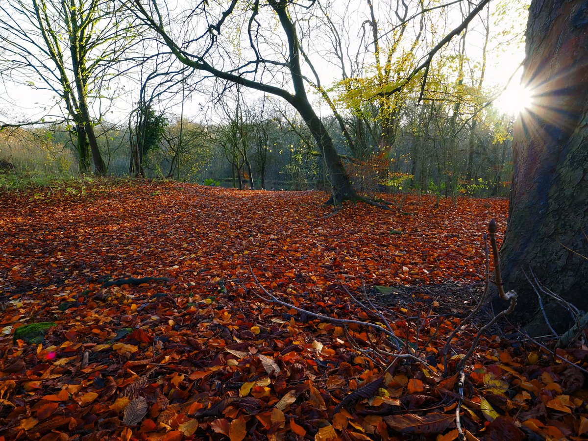 A bit of messing about with a wide-angle lens on today's local walk around New Mills.