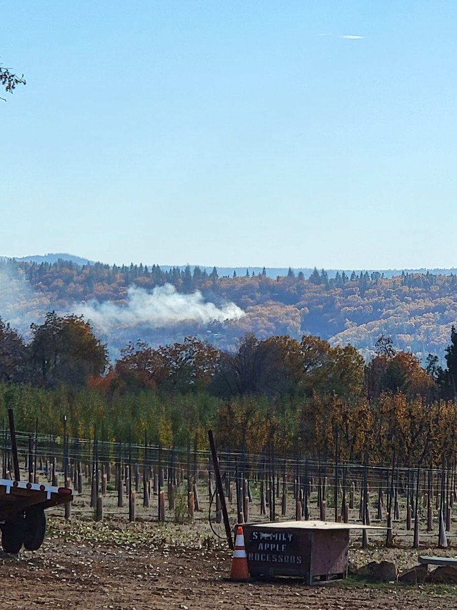 BryanZanoli's tweet photo. There appears to be a fire south of Boa Vista farms in @applehill. Has this already been reported? @CALFIRE_PIO https://t.co/eKPPVLoQxs
