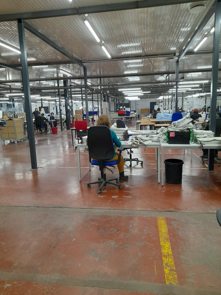 Stephanie Abdelli tweet media