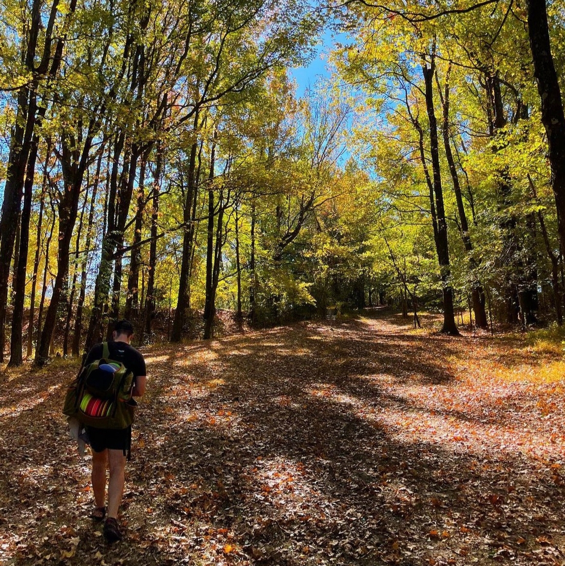 NaturallyMEM's tweet photo. Find a break in the rain and hit up your favorite disc golf course. Have you been to this one?

📍 Latimer Lakes
📸 @bobbytanqueray_discgolf (IG) https://t.co/TZ8AXncymH