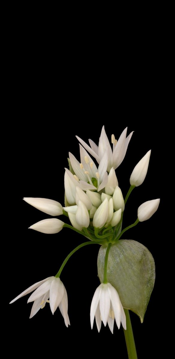 SyDored's tweet image. 