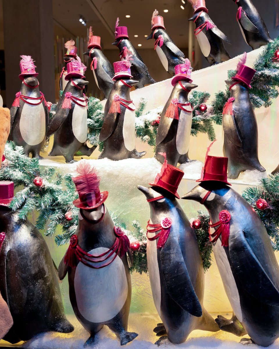 Anthropologie's tweet photo. Our #AnthroWindows ALWAYS make the Nice List, and this year is no exception! Swing by your local store to take a peek at our (beyond adorable) penguin displays – and while you're there, shop our best Black Friday deals, from festive tableware to holiday occasion wear! ❄️🐧 https://t.co/eUNe4GwArF