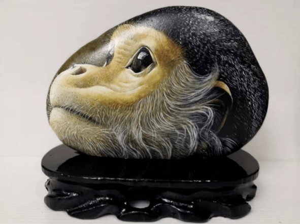 Chinese Embassy in Russia 中国驻俄罗斯大使馆 tweet media