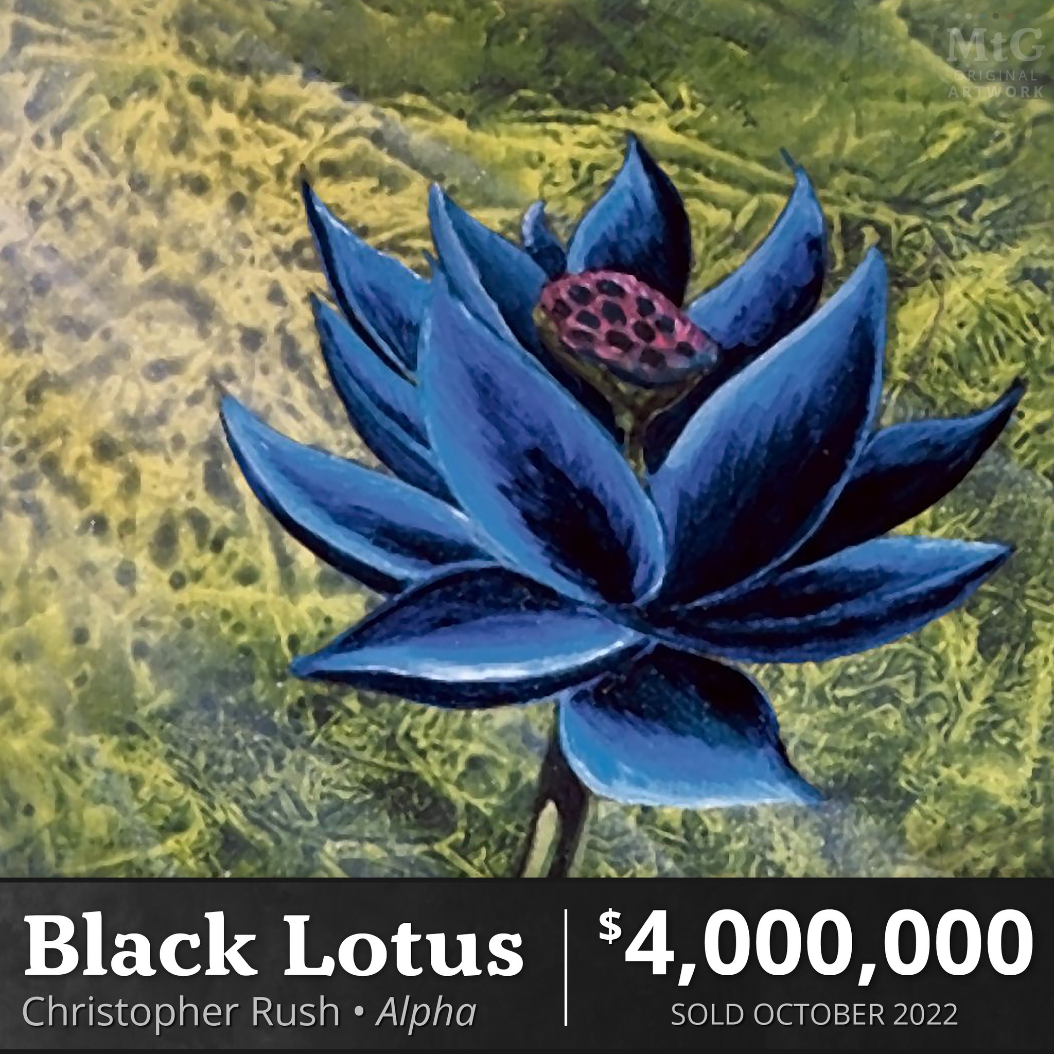 MtG Original Artwork on X: 