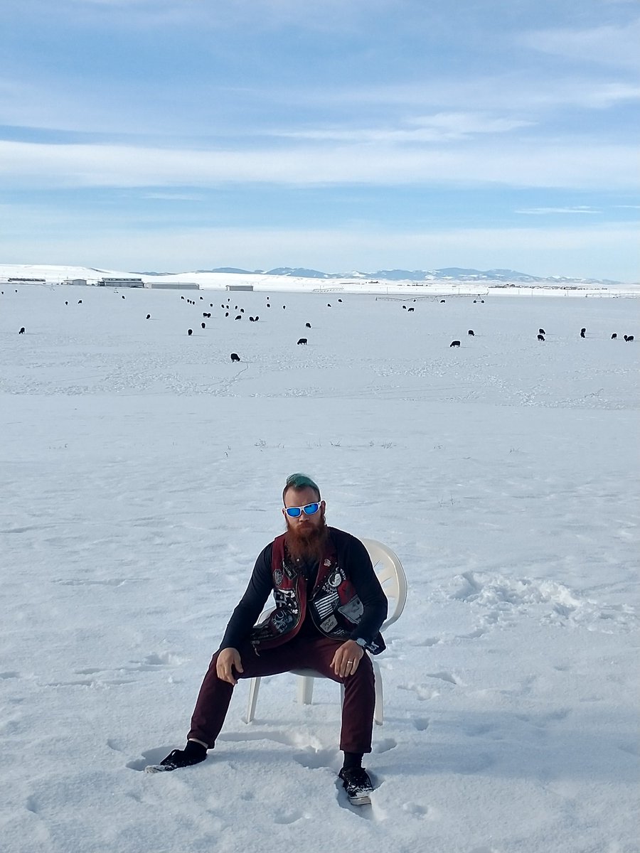 eclctve's tweet photo. #cows #creation #snow #punk #photoshoot #montana #prolife #JCHC https://t.co/7wDrh7ZgkR