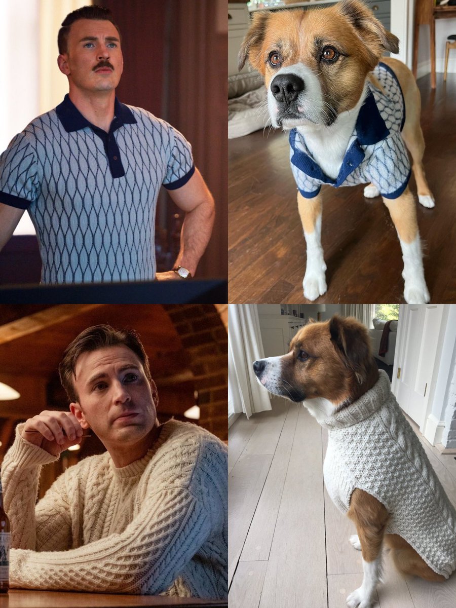 DodgerEvans__'s tweet photo. Just as there is also a category related to the "sexiest man in the world" there should be one dedicated to the cutest and most adorable puppy in the world. 😎😉🐾 @ChrisEvans #sexiestmanintheworld https://t.co/pZ1zYcZG1A