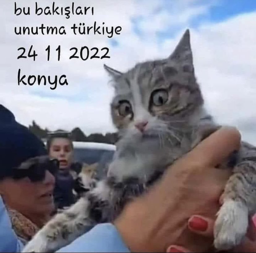 gara dede (@yusuf_ziya_t) on Twitter photo 