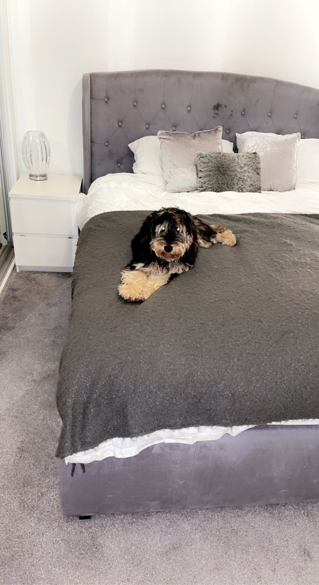 morgancave tweet media