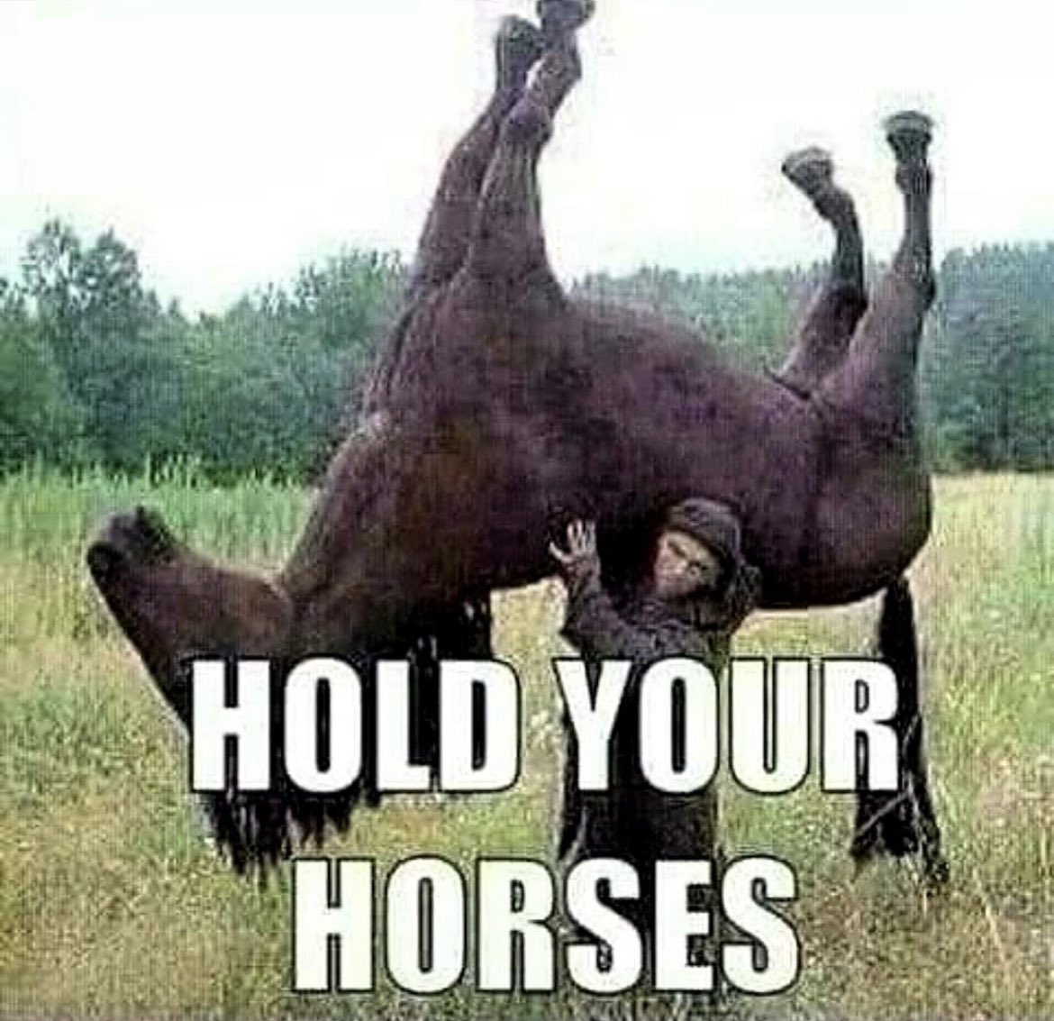 DanFaithfull's tweet photo. @alfiemollaghan6 @ben_hook1 @SamRayner We’re not even out yet hold your horses https://t.co/ymml4UferF