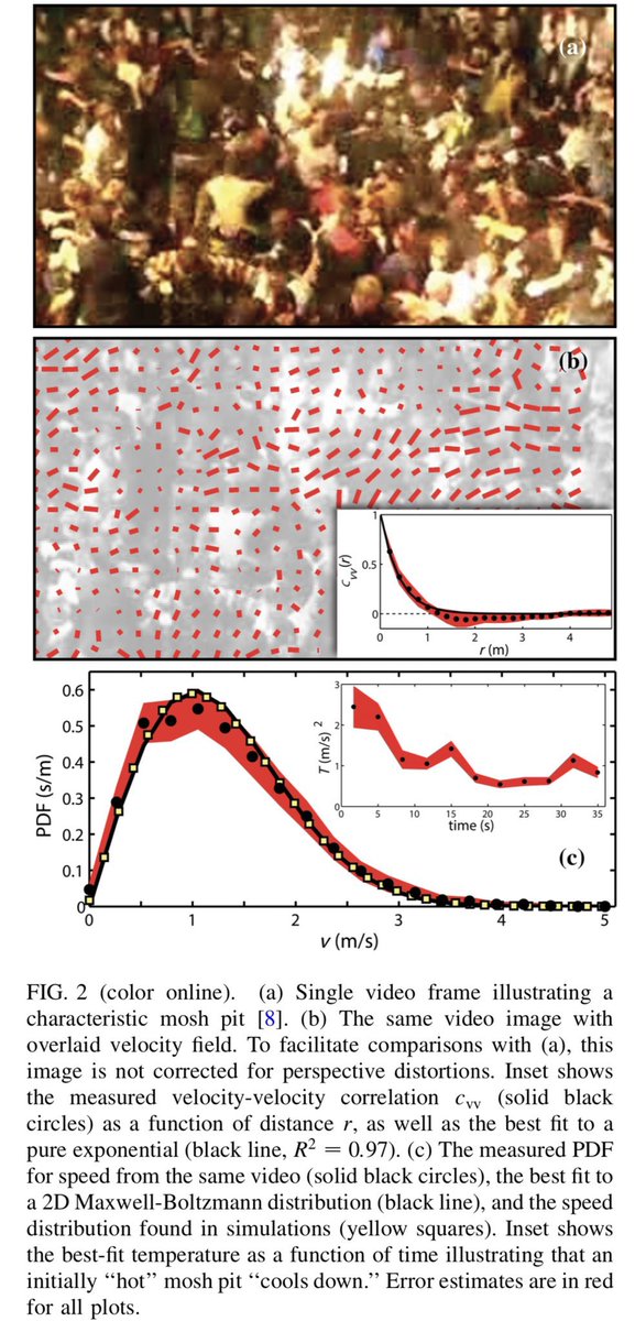 emollick's tweet photo. Crowds at heavy metal shows can be modeled using basic physics principles.

They fall into two types: gas-like mosh pits or ordered vortex circle pits. Crowd rotation is almost always counterclockwise, no matter where the concert. Maybe due to handedness? https://t.co/DrHgkA1HYp https://t.co/AJbIzvxGsi