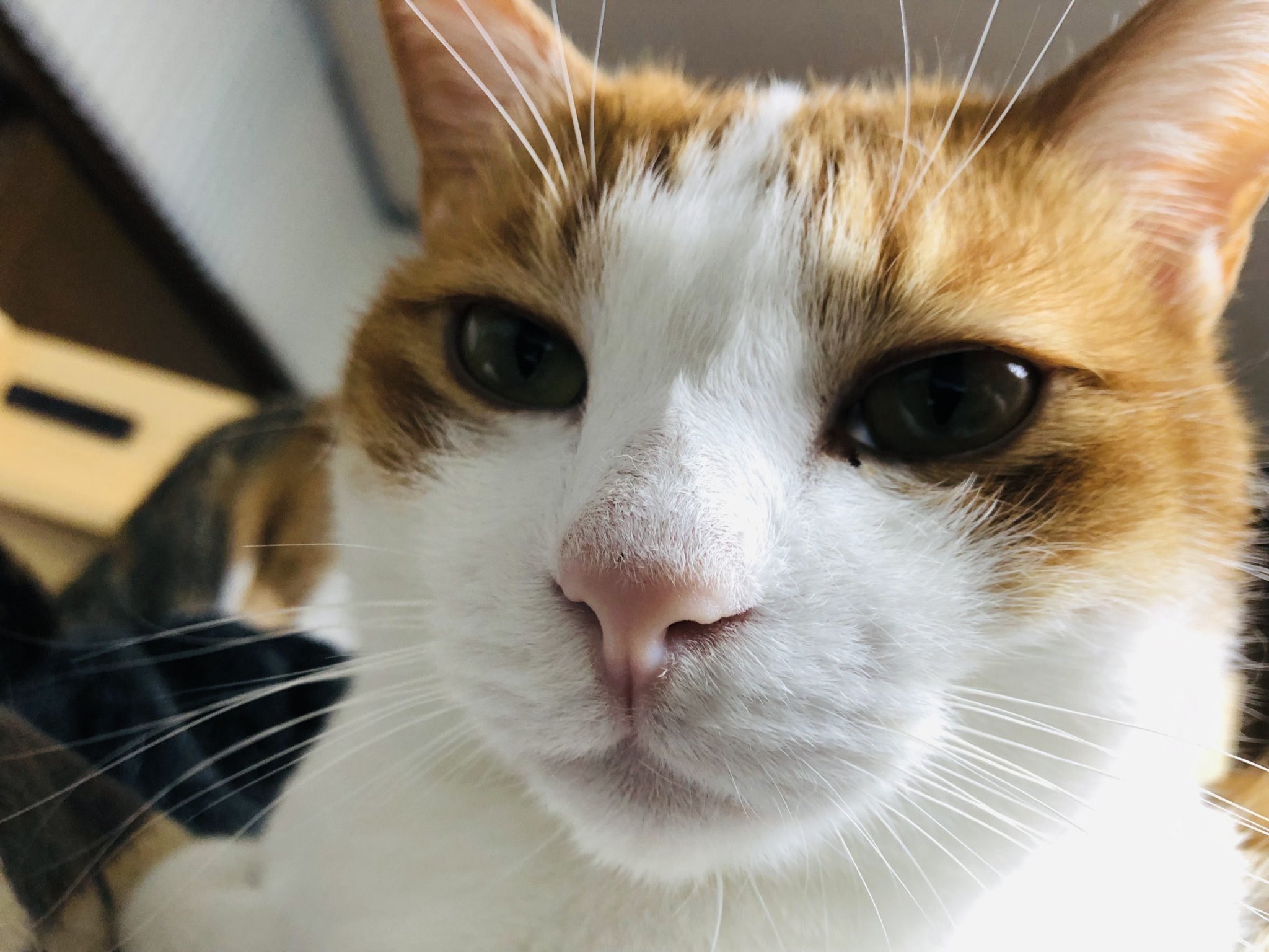 稲毛海浜公園プール Twitter Search Twitter