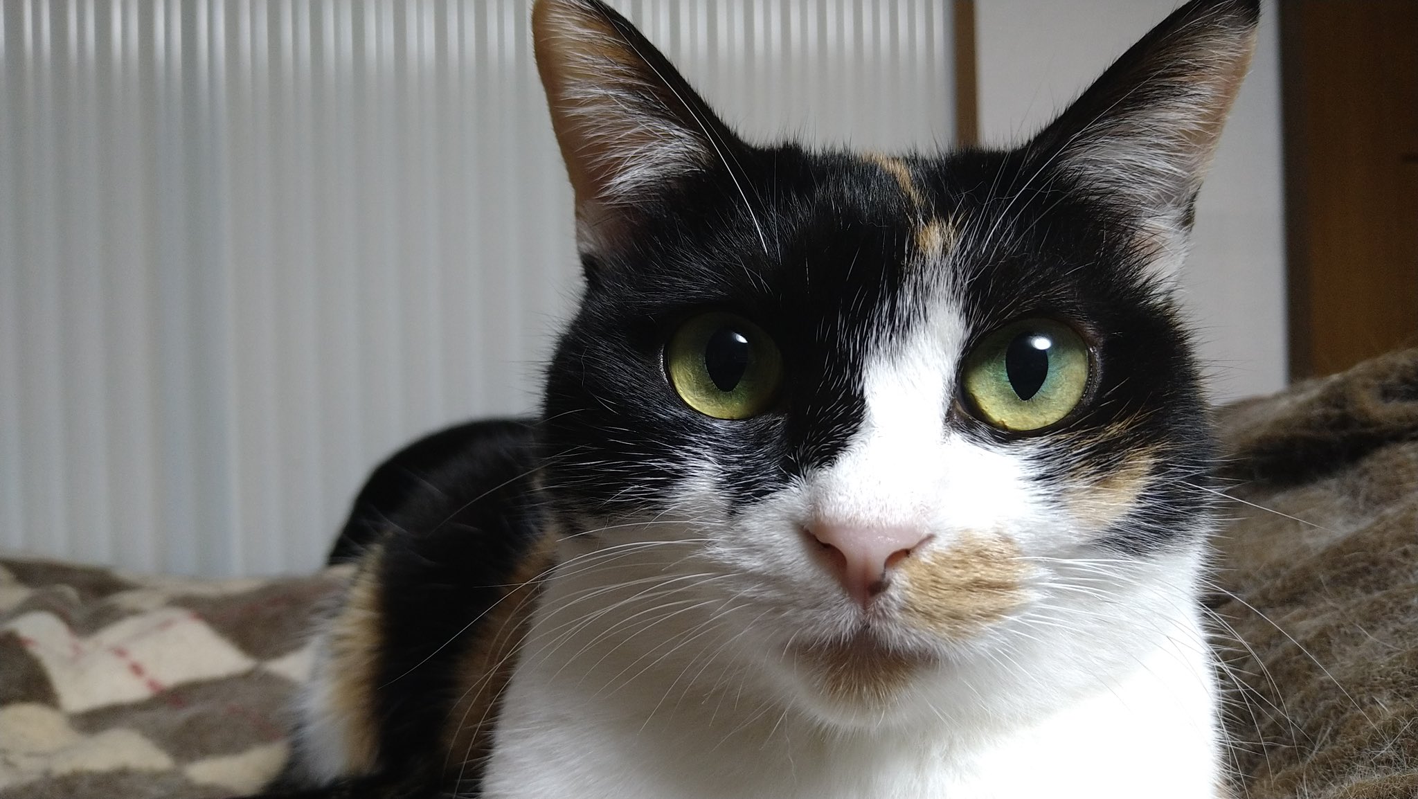 稲毛海浜公園プール Twitter Search Twitter