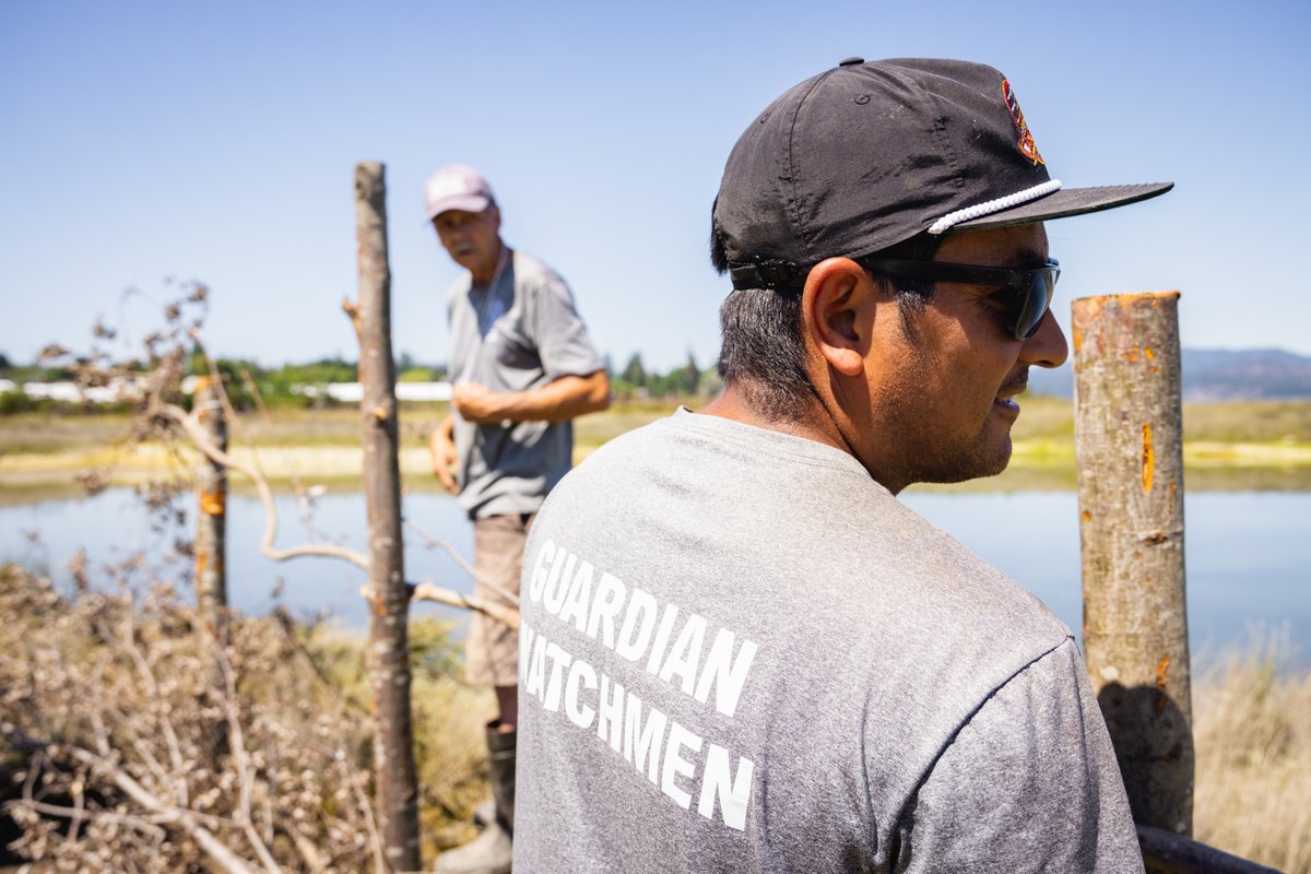 #JOBALERT ➡️ Here's a 🧵 of current job opportunities throughout the #GreatBearRainforest and #HaidaGwaii.

(New jobs will be added to this thread as they come up.) 

#IndigenousJobs #FNJobs #BCJobs