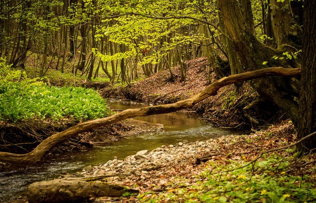 BBOutdoorStore's tweet photo. The winter season is here! Be sure to stock up on the items you need to stay warm this winter season and enjoy the outdoors!
 #gear #hunting #survival #design #Ad #cybermonday #fall https://t.co/AIKUju7w37