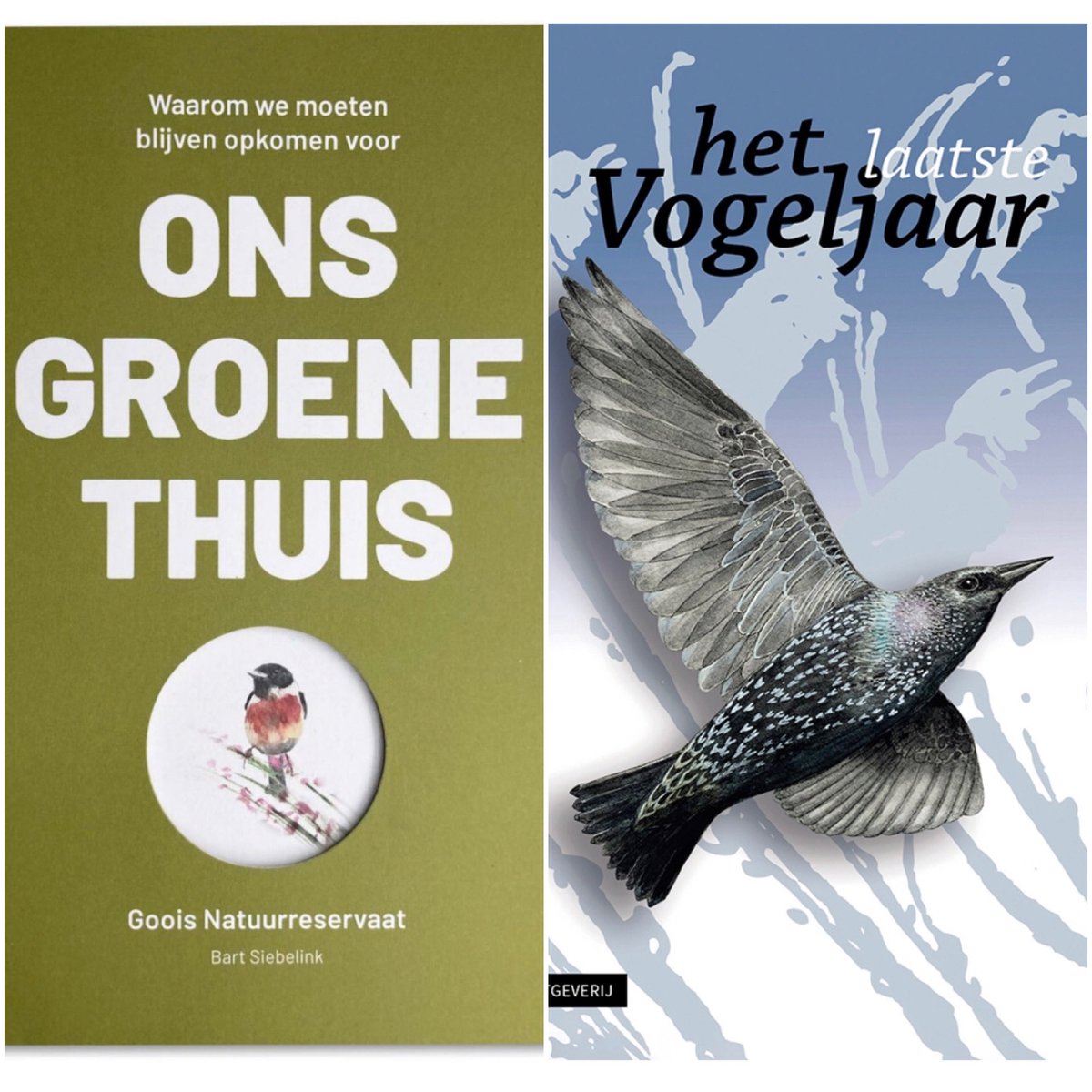 DoortjeVanDijk's tweet photo. Morgen met de gehele redactie van ‘het (laatste) Vogeljaar’ op de Landelijke Sovondag (https://t.co/8ynIwh1YgU ) Mooie gelegenheid voor mij om als natuurillustrator (https://t.co/GXJPK22yv2) en grafisch ontwerper (https://t.co/bsZ0jF9yeK) kennis te maken met vogelend Nederland. https://t.co/7qG9G8zfVD