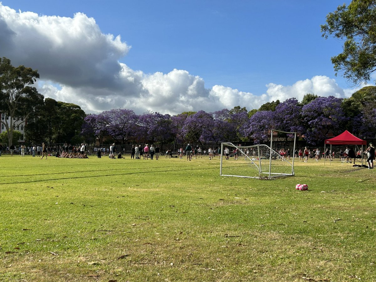santasports's tweet photo. Final weekend of sport for Term 4. Congrats to all students, visiting schools for a full term without interruption.@SSCommunicate @SantaSabinaPrin https://t.co/06DrUOTUyU