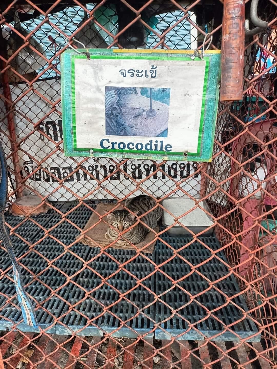 FicIk4hXoAA5s4c?format=jpg&name=large