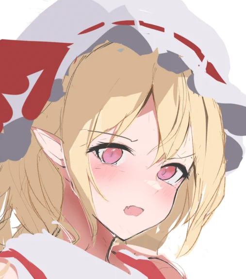 wip flan 