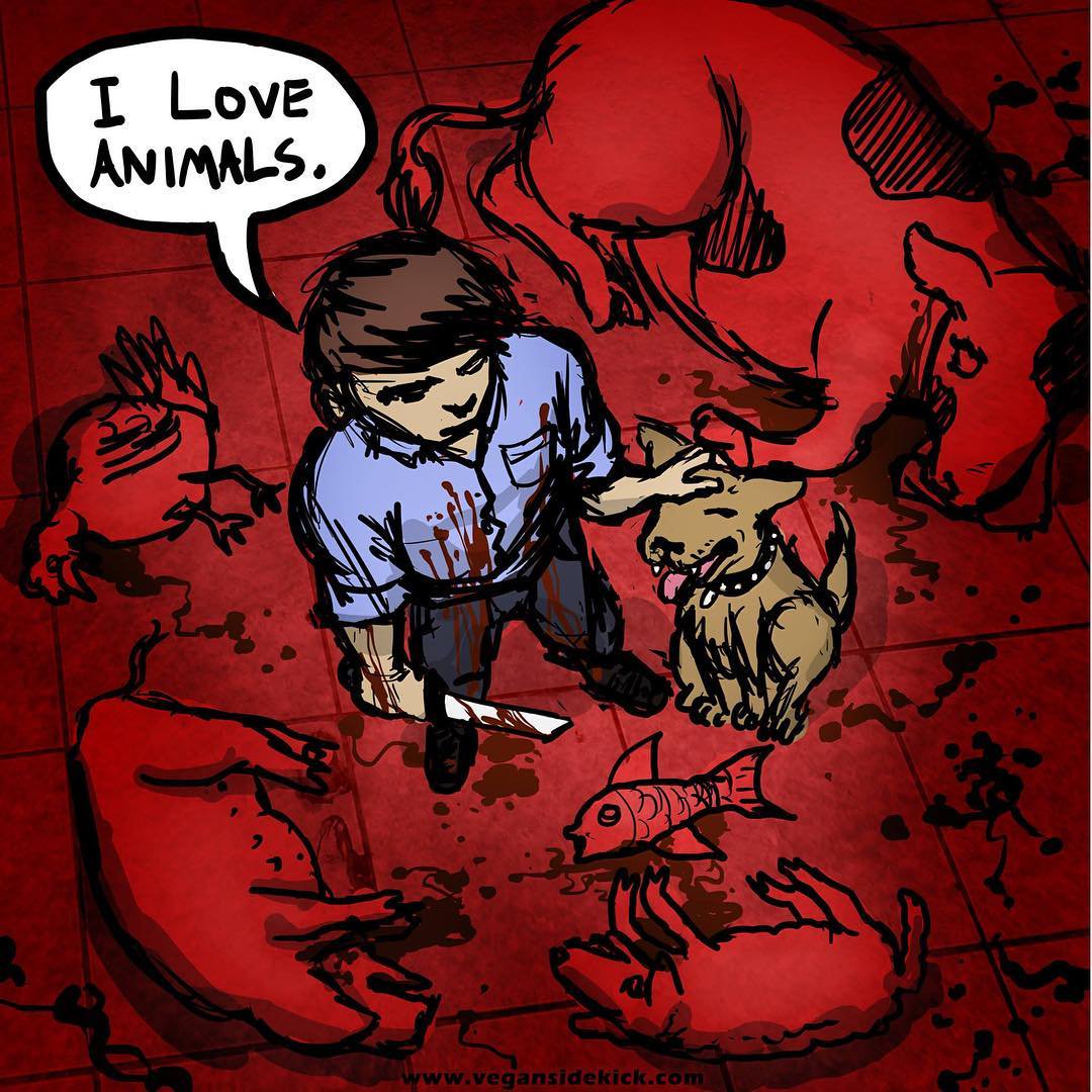 <a href="/Charles___Raven/">charles_the_raven🌱</a> <a href="/Veganella_/">Veganella 🥦</a> Deutsche Tierliebe: