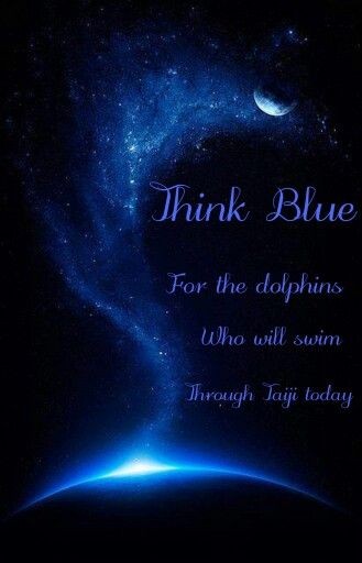 janischshane's tweet photo. @KunitoSeko Think #Blue
Dive deep, may the dolphins have a safe passage through these waters, may those hunters get nothing Kunito san,
#DolphinDefender #DolphinWarrior https://t.co/demQLdXSlD
