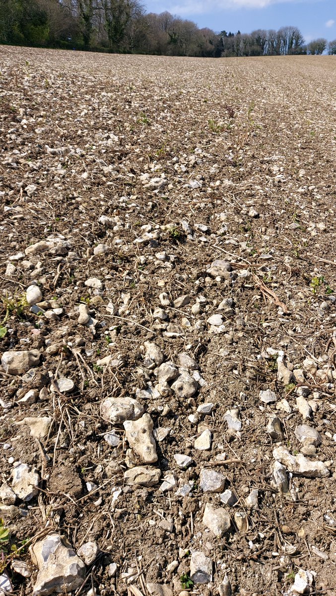 BourgaultVos's tweet photo. The @TillageTools VOS used with a photo of the stone in this area 👌 https://t.co/5MejmImLPw
